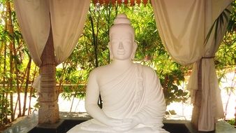 white buddha statue in a temple