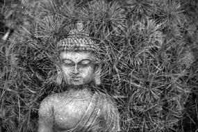 buddha sculpture in black and white image