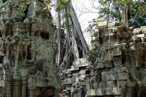 ruins of the temple complex in cambodia