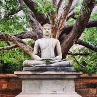 Buddha sculpture in Sri Lanka