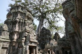 ruins of a temple complex in cambodia on a sunny day