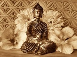 meditation of buddha statue