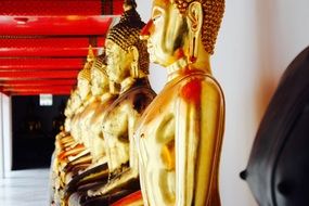 row of golden buddhas near the wall in the temple