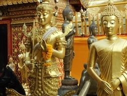 Thailand Temple gold buddha