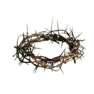 crown of thorns as a symbol of suffering