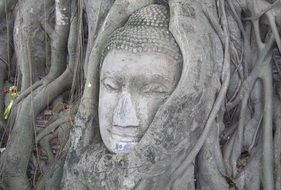 Buddha and Mystical Tree