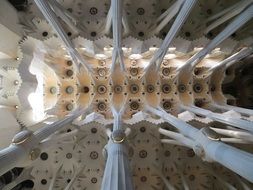 filigree ceiling of cathedral Sagrada Familia