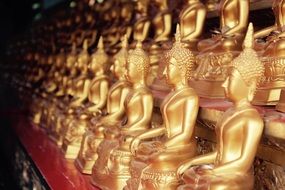 rows of golden buddhas near a wall in a temple in bangkok