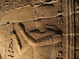 hieroglyphs in temple of isis