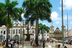 Green palm tree near the fountain near the monastery in Bahia