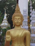 Asia Buddhism Temple with the gilded statue