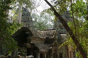 ruins of a temple complex in cambodia among green trees