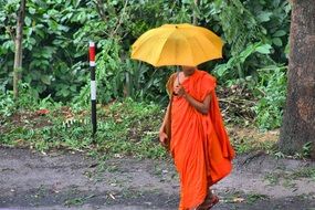 Buddhist monk under a yellow umbrella in Sri Lanka