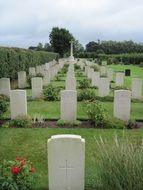 graveyard with graves