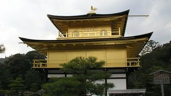 Gold TempleJapan