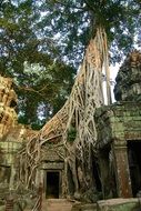 Temple in Angkor Thom