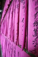 Temple Hoi An Viet Nam