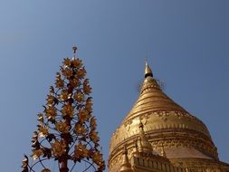 the golden dome of a Buddhist temple in Myanmar