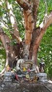 holy statue under tree in Thailand