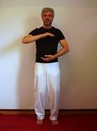 tai chi as wellness exercises