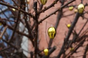 golden eggs on a tree for easter