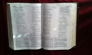 Bible Faith Book