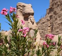 Karnak Temple Luxor