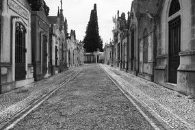 Cemetery Graves Grave Tombstone