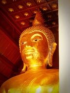 big golden buddha in tibet close up