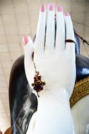 buddha hand with ring