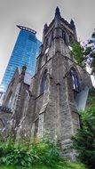 beautiful Tower among the trees