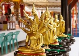 golden buddhas in asian temple