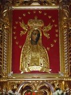 Mary Lichen icon