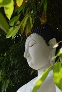 asian white buddha statue