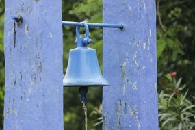 blue Bell