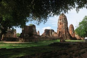 ruins of an old temple in a park in Ayutthaya