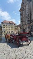 horse with coach near the Dresden frauenkirche