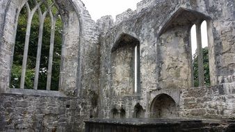 Muckross Abbey in Ireland