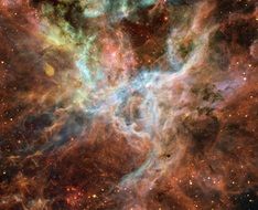 tarantula nebula in space