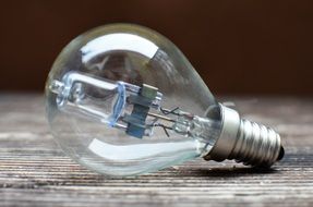 conceptual glass Light Bulb