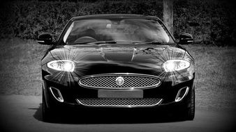 black and white photo of a jaguar car