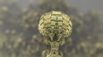 abstract fractal art, microorganism