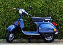 blue scooter near a hedge