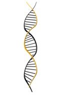 symbol of deoxyribonucleic acid