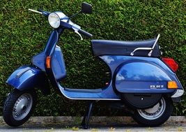 Blue Scooter