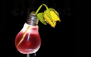 Electro smoke with rose