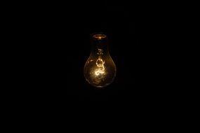 electric light bulb in the dark