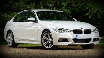 luxury white BMW in the park