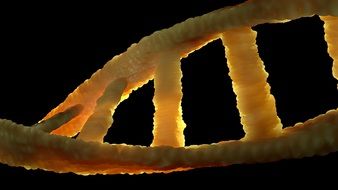 genetic material on a black background