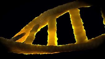 double helix as genetic material